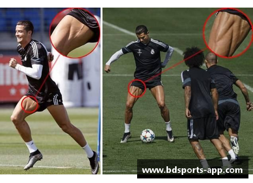 球场英雄：探寻体育巨星的生平与传奇