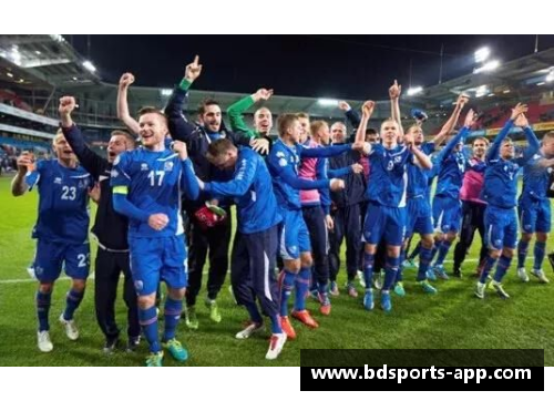 冰岛足球：北极之光闪耀舞台