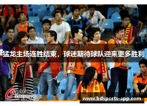 猛龙主场连胜结束，球迷期待球队迎来更多胜利
