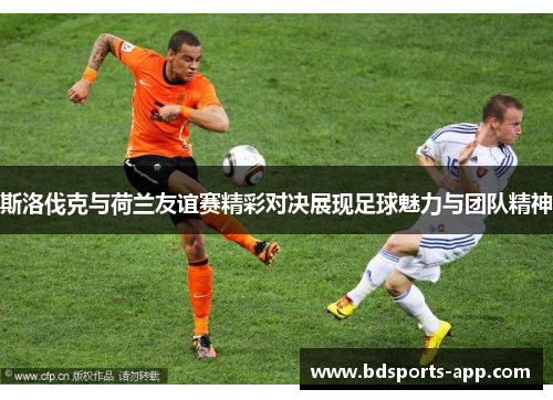 斯洛伐克与荷兰友谊赛精彩对决展现足球魅力与团队精神